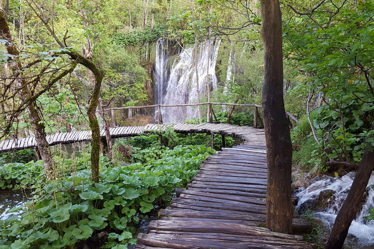 سبليت: جولة ليوم واحد مع مرشد في الصباح الباكر إلى بحيرات بلاتفيتشSplit: Plitvice Lakes Day Tour - Entry Tickets Not Included