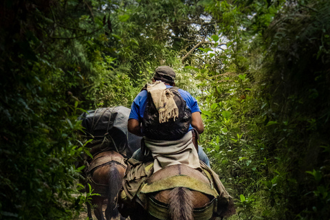 Fiji: Sabeto Valley Horseback Riding Tour