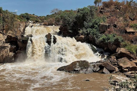 Lake Nakuru & Naivasha National Park Wildlife Highlights