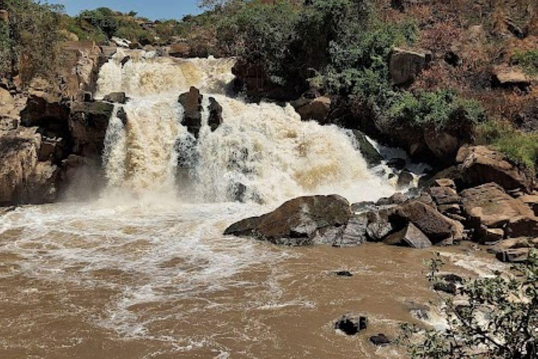 Lake Nakuru & Naivasha National Park Wildlife Highlights