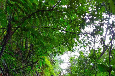 San Pedro Sula: Azul Meámbar National Park Day Trip