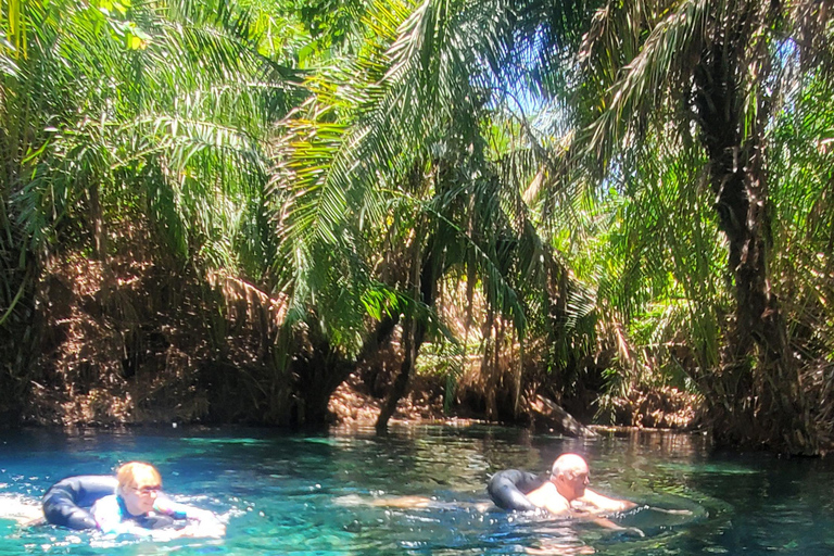 Wonderful Materuni waterfalls and Chemka hotspring Day trip