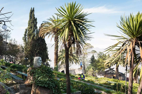 Santiago del Cile Walking City TourTour a piedi di Santiago del Cile