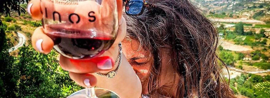 Demi-journée à Paphos - Dégustation de vin gratuite - Groupe de 7 personnes maximum - Climatisation intégrale