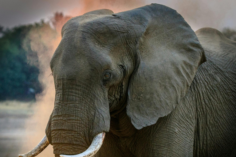 Safari de 3 jours en Tanzanie : Serengeti et cratère du Ngorongoro.Safari de trois jours en Tanzanie : Serengeti et cratère du Ngorongoro.