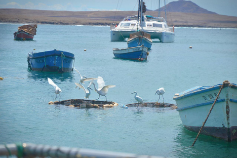 Santa Maria: Wycieczka do Słonego Jeziora, Błękitnego Oka i Zatoki Rekinów