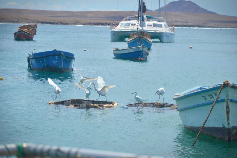 Santa Maria: Wycieczka do Słonego Jeziora, Błękitnego Oka i Zatoki Rekinów