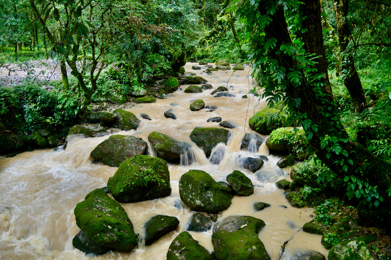 Kathmandu: Shivapuri National Park Hike with Village Lunch