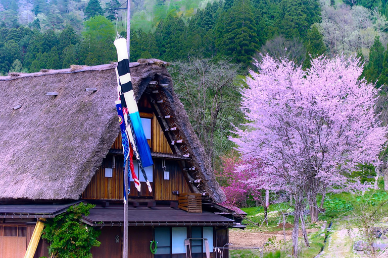 Nagoya: Hida Takayama & Werelderfgoed Shirakawa-go DagtourZonder lunch