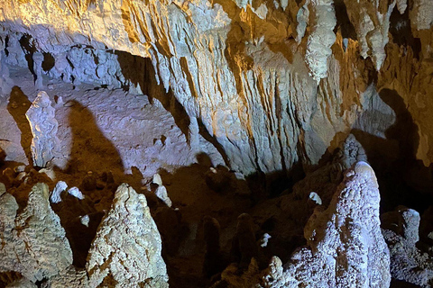 Vanuit Auckland Waitomo Glowworm &amp; Grot Ontdekkingsreis Privétour