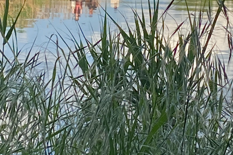 جولة لركوب الخيل بالقرب من براغجولة ركوب الخيل بالقرب من براغ