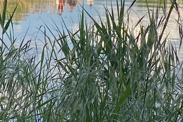 جولة لركوب الخيل بالقرب من براغجولة ركوب الخيل بالقرب من براغ