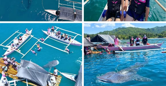 Boracay: Premium Whale Shark Tour with Free Underwater Media