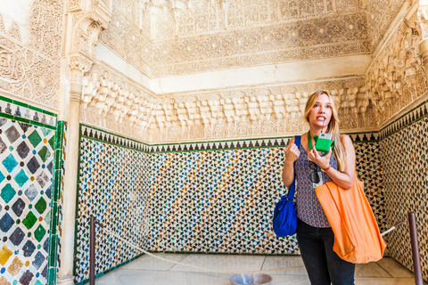 Granada: Alhambra & Nasrid Palaces Tour with Tickets Tour in French for 20 People