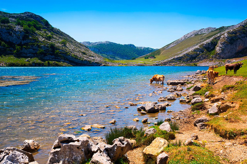 From Oviedo and Gijón: Lakes of Covadonga, Lastres and Tazones From Gijón: Lakes of Covadonga, Lastres, and Tazones (ENG)