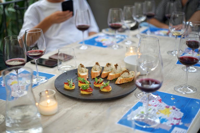 Wine Tasting with Professional Sommelier in centre Valencia