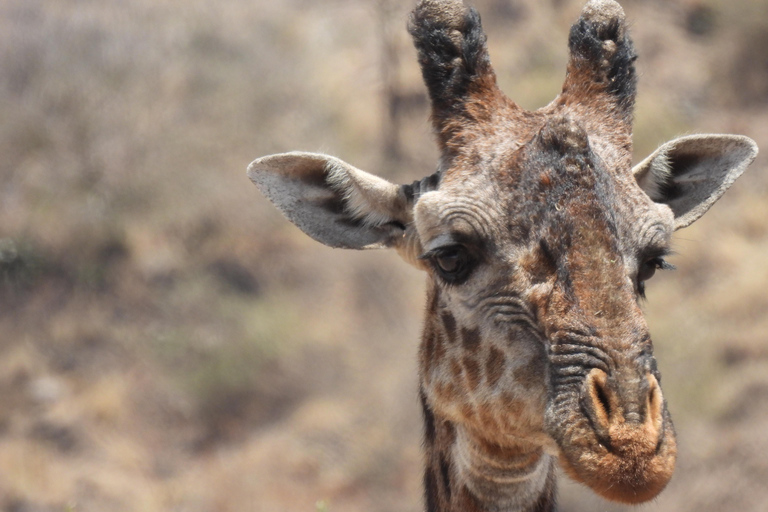 5 Days of Exploration and Wildlife Encounters