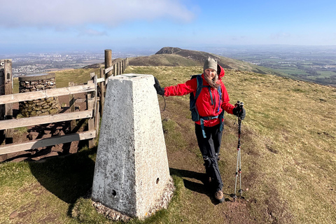 Hills, heather & Highland cows: Hiking in the Pentlands Hills, heather & Highland cows - Hiking in the Pentlands
