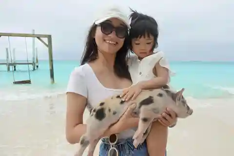 Nassau ATV & Swimming Pigs Tour