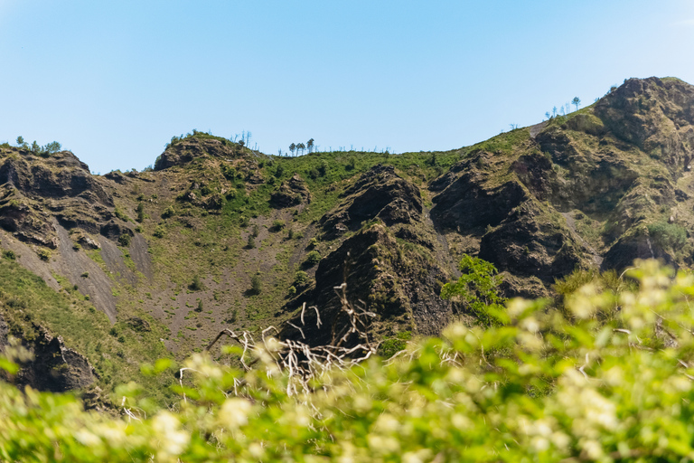 Vanuit Rome: Dagtrip Pompeii en de Vesuviusberg met lunchPompeii & Vesuvius met kegelwandeling