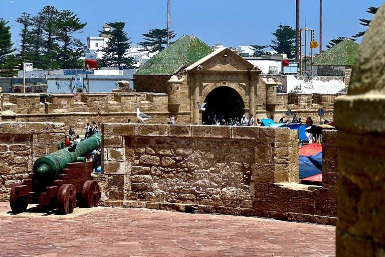 From Marrakech: Essaouira Day Trip with Beach & Medina Essaouira Small Group Day Trip