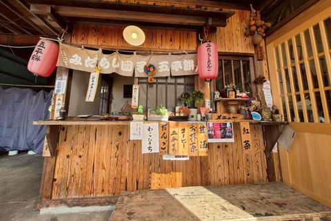 Nagoya: Shirakawa-go, Takayama & Snow Wall 2-Day Tour 1 person 1 room