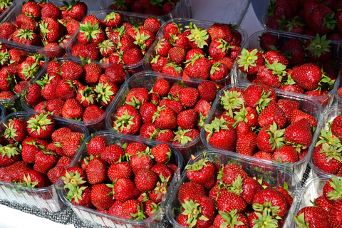 Private Cycle Tour in Helsinki, 4h