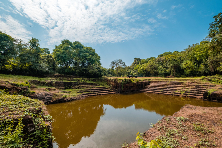 Goa: Excursión a la Vieja Goa y a la Isla de Divar con almuerzo