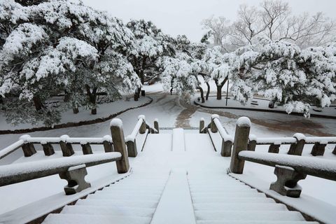 Busan: Winter Healing Park & (Gyeongju/Daegu) One Day Tour Healing Park + DAEGU Tour - Meet at Haeundae Station