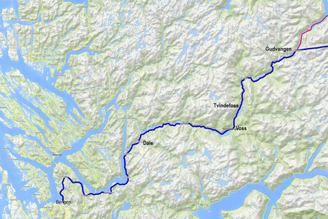 Z Bergen - piękny Nærøyfjord, Flåm i StegasteinZ Bergen: Wycieczka autobusowa z przewodnikiem z rejsem po fiordzie do Flåm