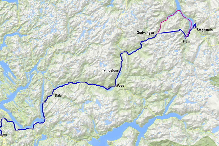 Z Bergen - piękny Nærøyfjord, Flåm i StegasteinZ Bergen: Wycieczka autobusowa z przewodnikiem z rejsem po fiordzie do Flåm