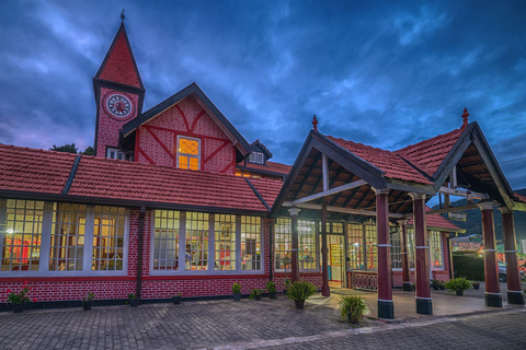 Kandy: Nuwara Eliya Scenic Tour & Ella Train Drop Experience
