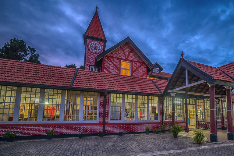 Kandy: Nuwara Eliya Scenic Tour & Ella Train Drop Experience