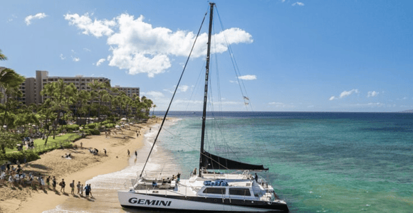 Maui: Morning Snorkel Adventure