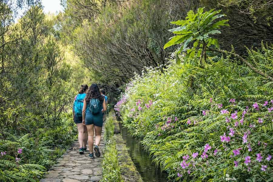 Kleingruppenwanderungen Rabaçal 25 Fontes. Foto: GetYourGuide Kleingruppenwanderungen Rabaçal 25 Fontes. Foto: GetYourGuide