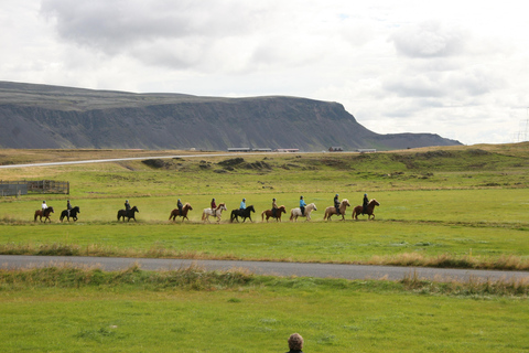 Hveragerdi: La ruta a caballo de SiggiHveragerdi: El Recorrido Siggi 1,5-2 Horas de Recorrido