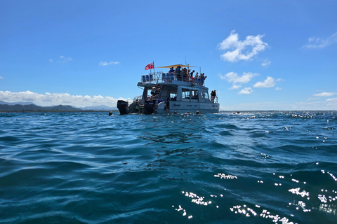 Pacific Harbour: 1 Mile Reef Guided Snorkeling Tour & Gear