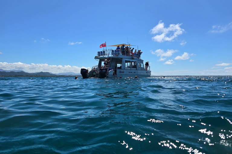 Pacific Harbour: 1 Mile Reef Guided Snorkeling Tour & Gear