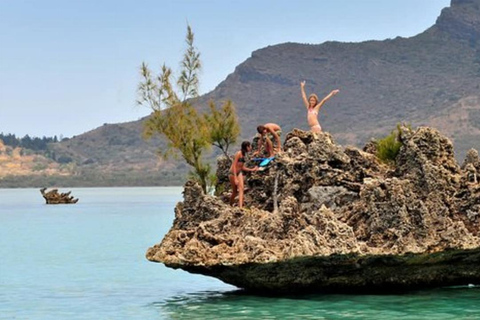 Prywatne pływanie z delfinami/snorkeling i lunch na wyspie Benitiers