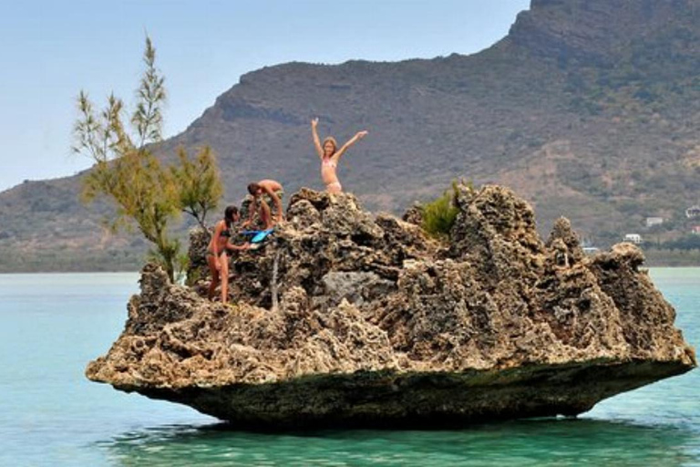 Prywatne pływanie z delfinami/snorkeling i lunch na wyspie Benitiers