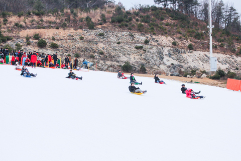 Z Seulu: Dolina Lodowa Eobi, zbieranie truskawek i wycieczka na sankachWyrusz z przystanku Hongik Univ. Station Exit 4