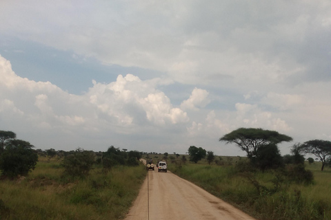 Safari in Africa alla settima meraviglia del mondo