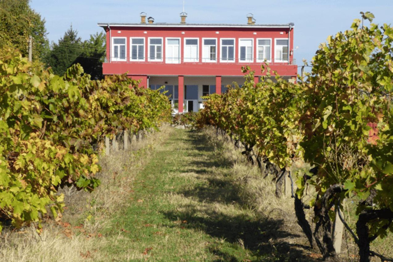 Plovdiv:Rural Tasting in Academic Winery &Artisan Dairy Farm