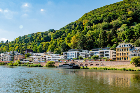 Heidelberg: Cruzeiro turístico pelo rio Neckar com uma bebidaHeidelberg: Cruzeiro turístico no rio Neckar