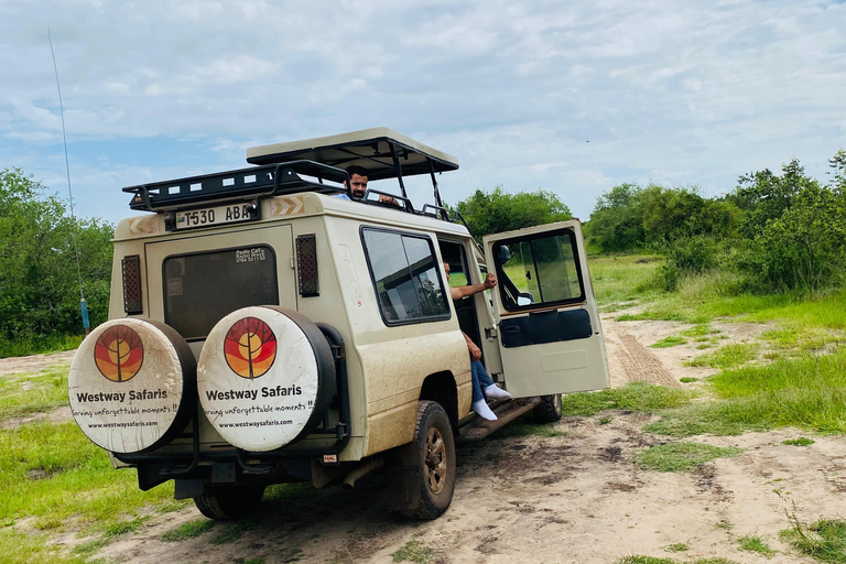 Arusha: 3-Day Serengeti Safari with Accommodation