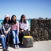 Jeju Island: Customized Private Full-Day Van Tour