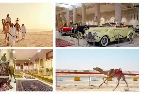 Private Kombitour zum Sheikh Faisal Museum und Kamelrennen