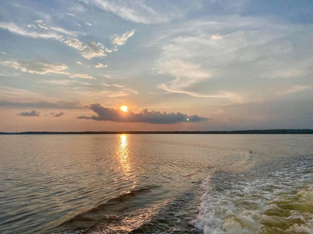Visit Orange Beach Dolphin-Watching Sunset Catamaran Cruise in Gulf Shores