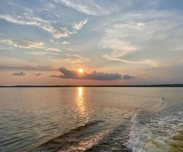 Orange Beach: Dolphin-Watching Sunset Cruise