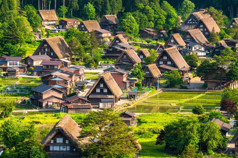 Nagoya 1-Day Trip: Hida Takayama and Shirakawa-go Village